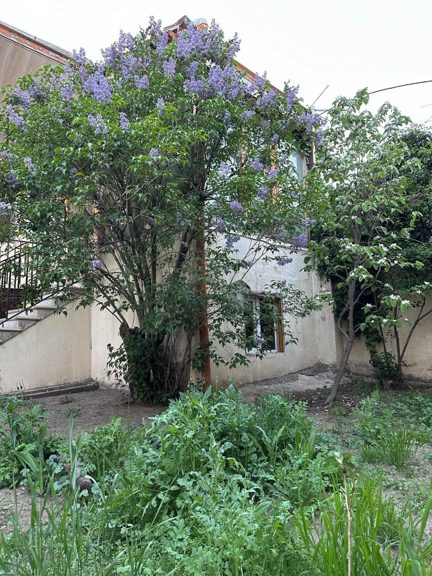 Popock City Center Yerevan Ngoại thất bức ảnh