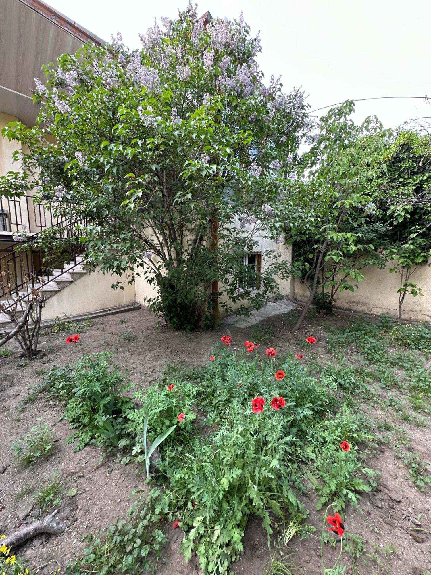Popock City Center Yerevan Ngoại thất bức ảnh