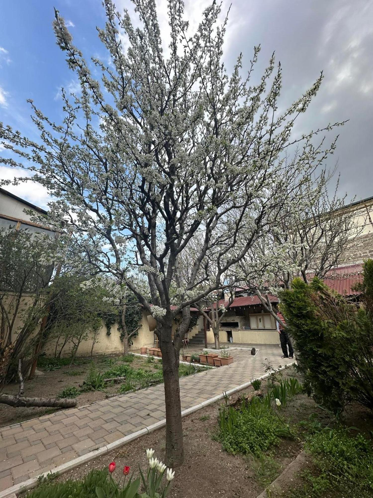 Popock City Center Yerevan Ngoại thất bức ảnh